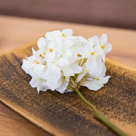 Life Апартамент *